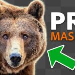 Mastering Precision: Unveiling 5 Pro Photoshop Masking Tricks You Didn’t Know